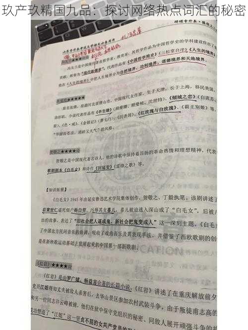 玖产玖精国九品：探讨网络热点词汇的秘密