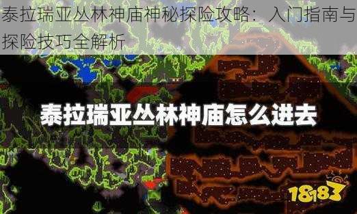 泰拉瑞亚丛林神庙神秘探险攻略：入门指南与探险技巧全解析