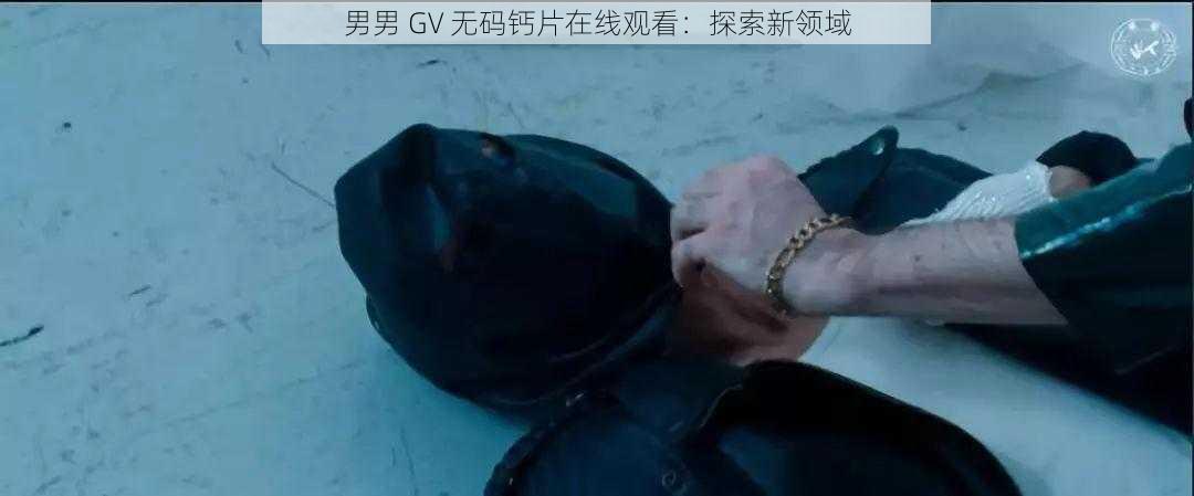 男男 GV 无码钙片在线观看：探索新领域