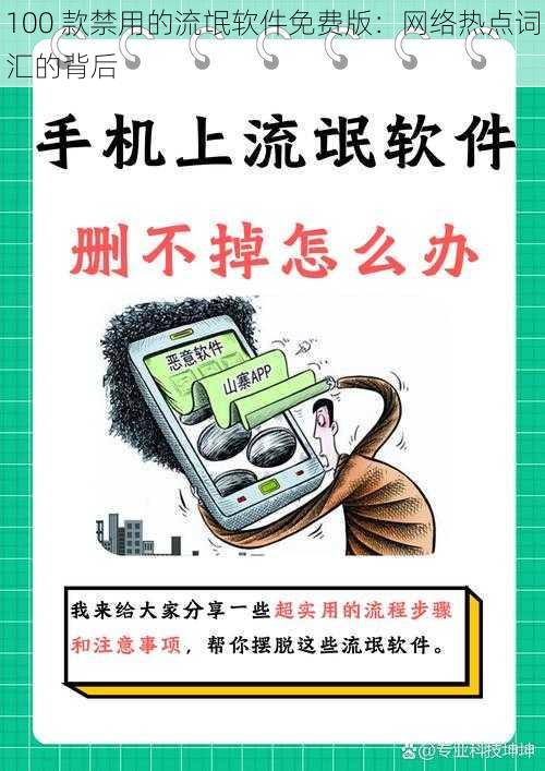 100 款禁用的流氓软件免费版：网络热点词汇的背后