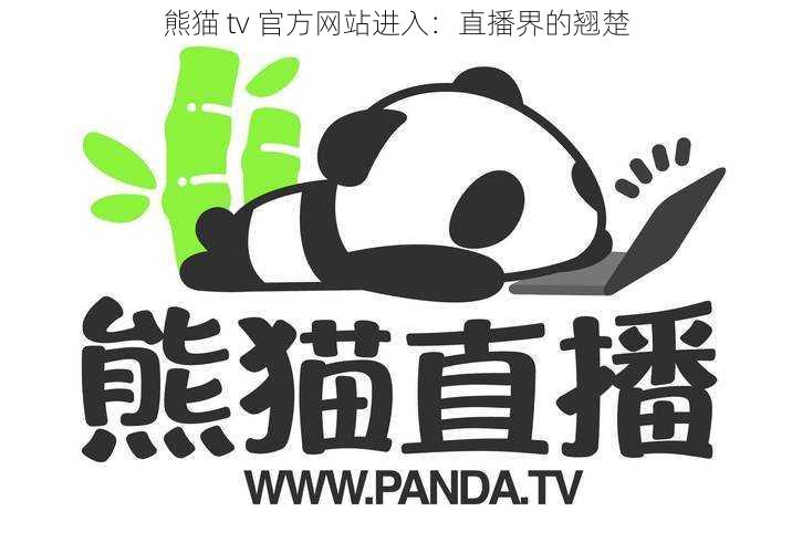 熊猫 tv 官方网站进入：直播界的翘楚