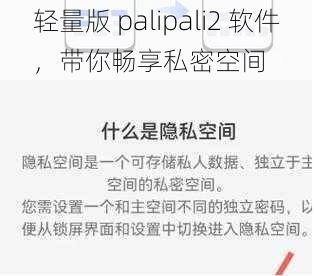 轻量版 palipali2 软件，带你畅享私密空间