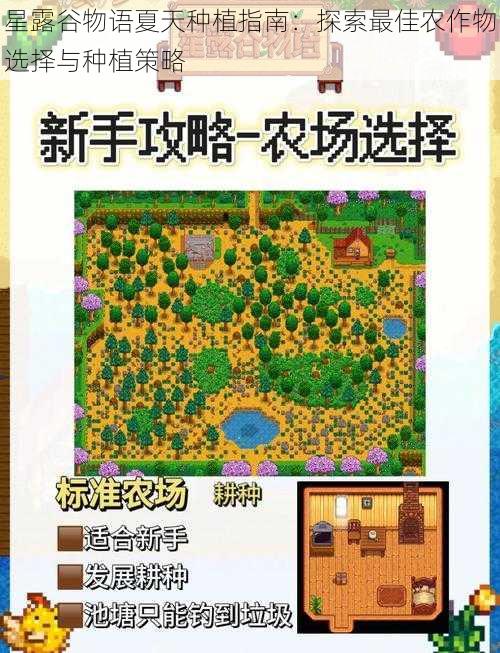 星露谷物语夏天种植指南：探索最佳农作物选择与种植策略