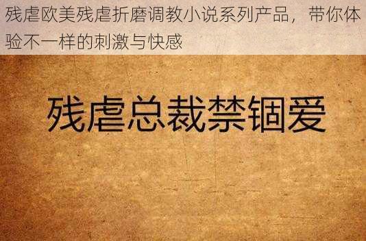 残虐欧美残虐折磨调教小说系列产品，带你体验不一样的刺激与快感