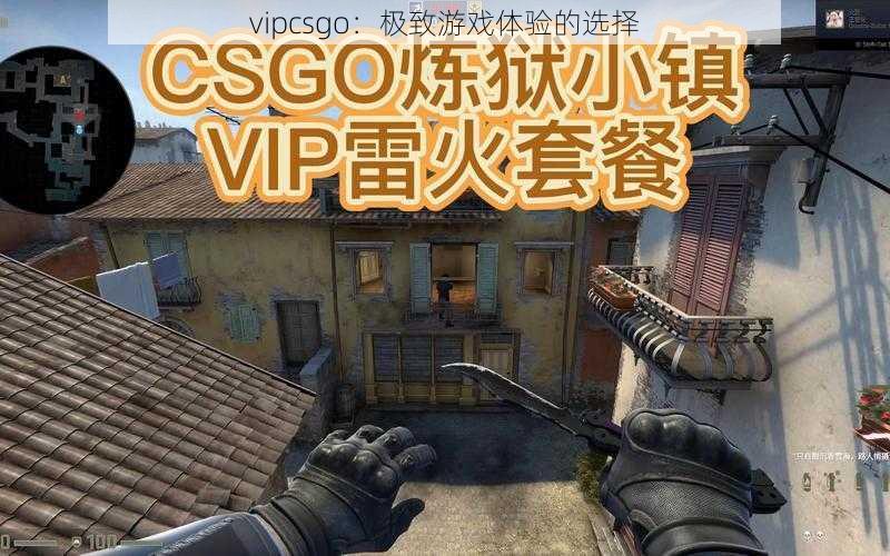 vipcsgo：极致游戏体验的选择