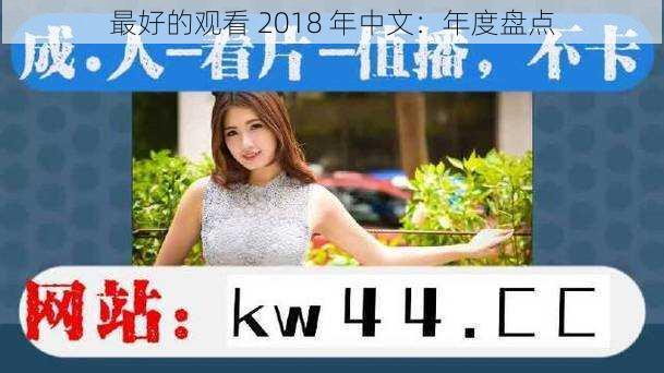 最好的观看 2018 年中文：年度盘点