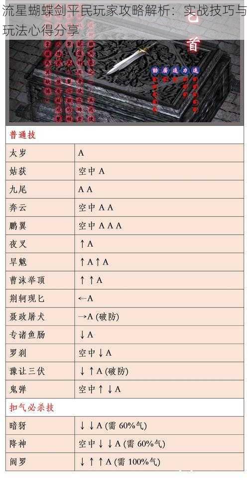 流星蝴蝶剑平民玩家攻略解析：实战技巧与玩法心得分享