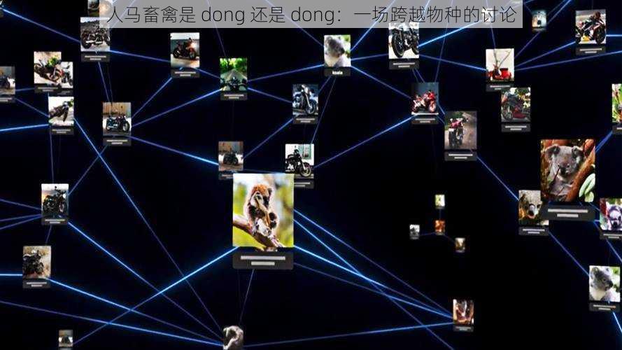 人马畜禽是 dong 还是 dong：一场跨越物种的讨论