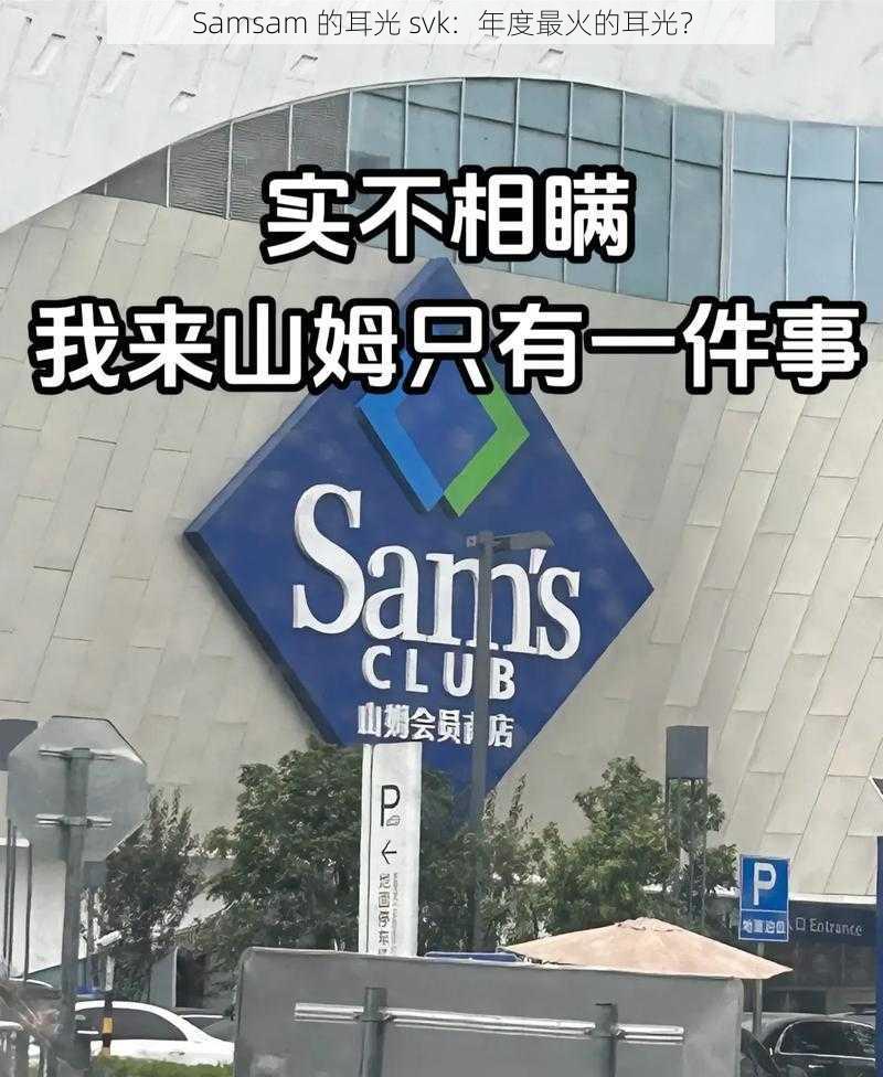 Samsam 的耳光 svk：年度最火的耳光？