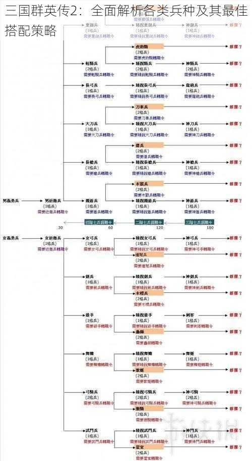 三国群英传2：全面解析各类兵种及其最佳搭配策略