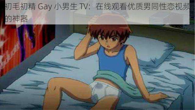 初毛初精 Gay 小男生 TV：在线观看优质男同性恋视频的神器