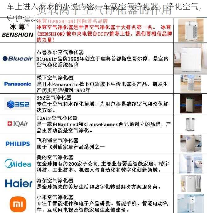 车上进入麻麻的小说内容，车载空气净化器，净化空气，守护健康