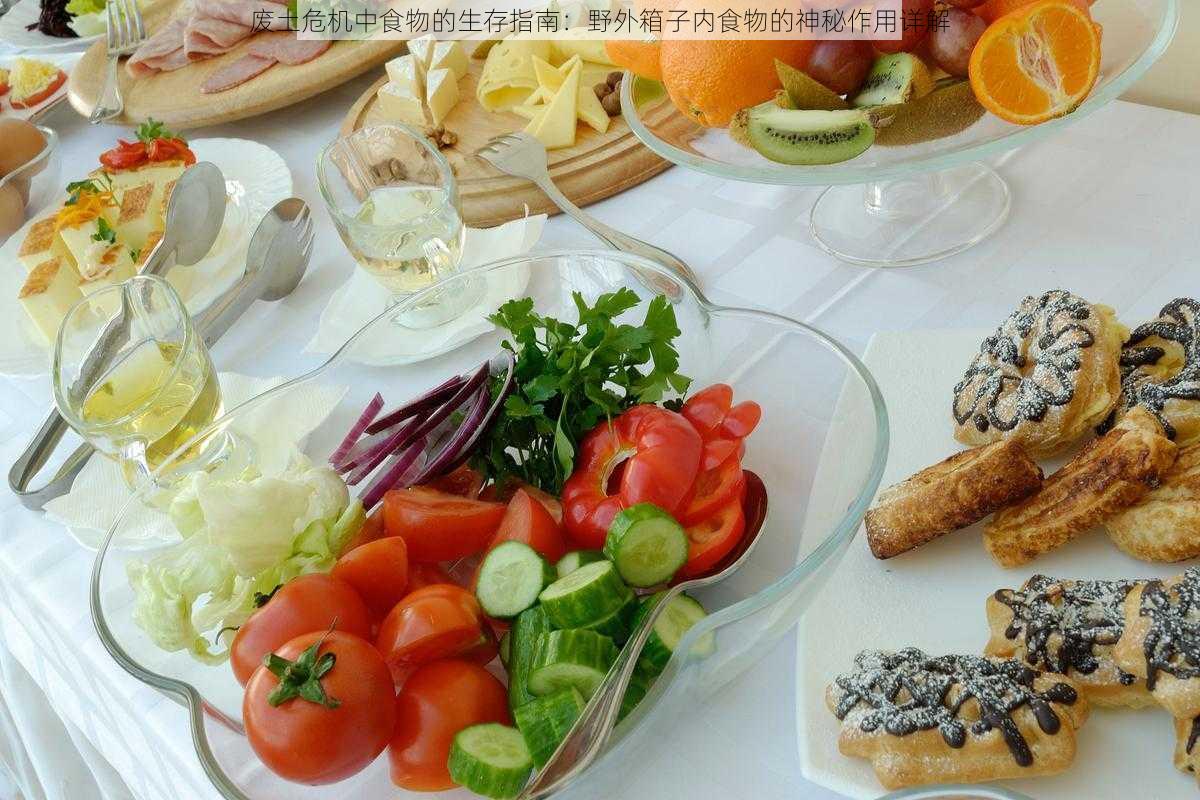 废土危机中食物的生存指南：野外箱子内食物的神秘作用详解