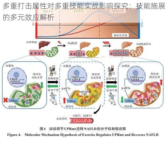 多重打击属性对多重技能实战影响探究：技能施展的多元效应解析