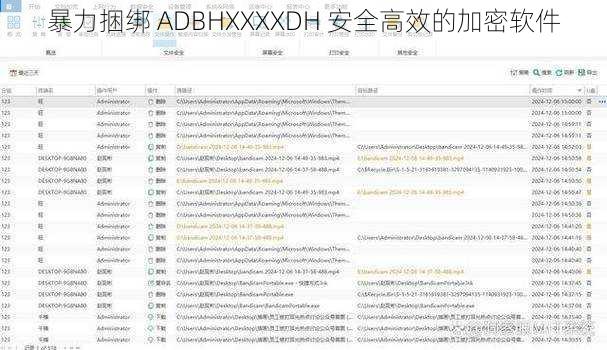 暴力捆绑 ADBHXXXXDH 安全高效的加密软件