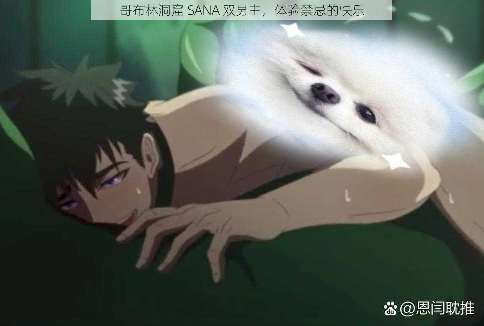 哥布林洞窟 SANA 双男主，体验禁忌的快乐