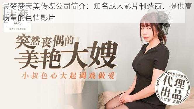 吴梦梦天美传媒公司简介：知名成人影片制造商，提供高质量的色情影片