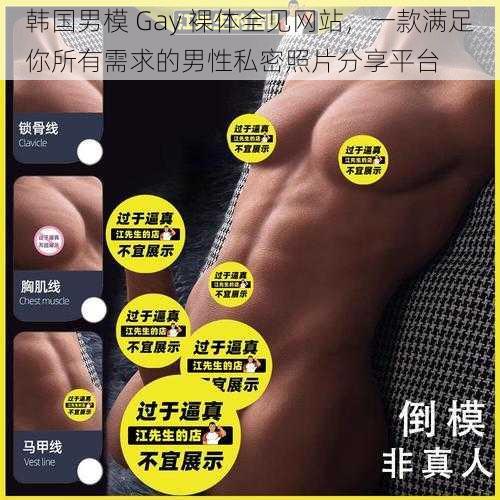 韩国男模 Gay 裸体全见网站，一款满足你所有需求的男性私密照片分享平台