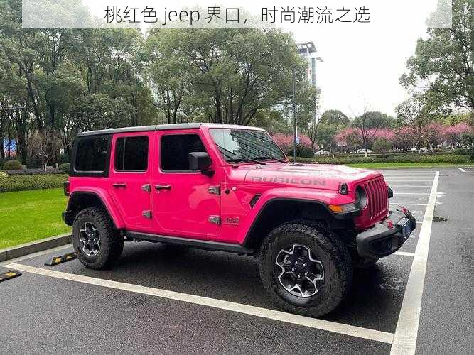 桃红色 jeep 界口，时尚潮流之选