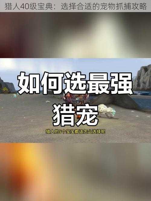 猎人40级宝典：选择合适的宠物抓捕攻略