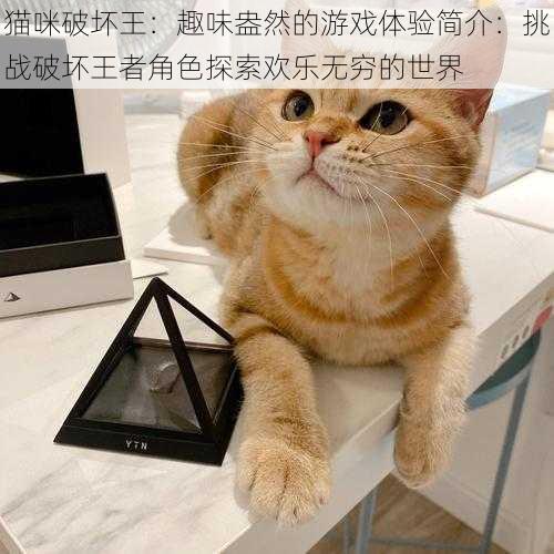 猫咪破坏王：趣味盎然的游戏体验简介：挑战破坏王者角色探索欢乐无穷的世界