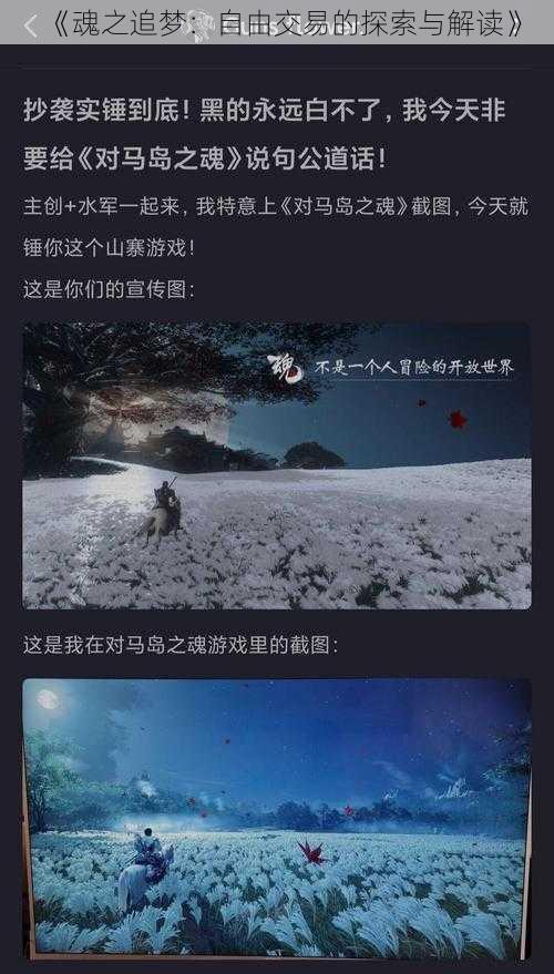 《魂之追梦：自由交易的探索与解读》