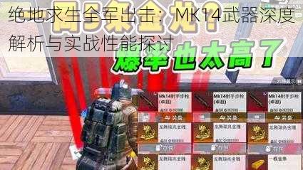 绝地求生全军出击：MK14武器深度解析与实战性能探讨