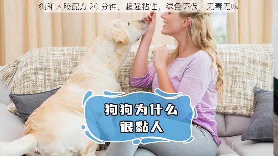 狗和人胶配方 20 分钟，超强粘性，绿色环保，无毒无味