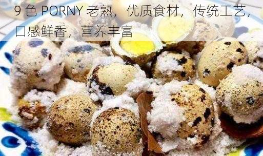 9 色 PORNY 老熟，优质食材，传统工艺，口感鲜香，营养丰富