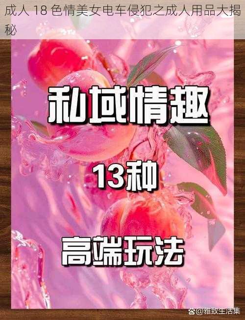 成人 18 色情美女电车侵犯之成人用品大揭秘