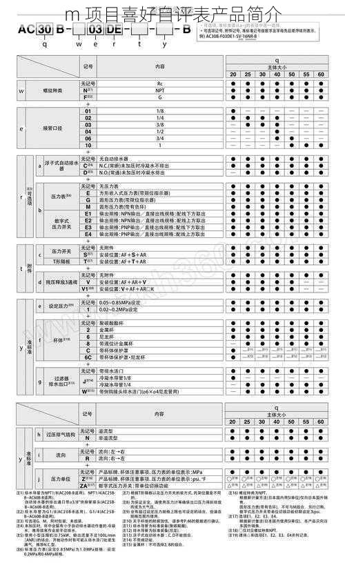 m 项目喜好自评表产品简介