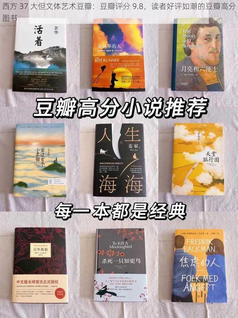 西方 37 大但文体艺术豆瓣：豆瓣评分 9.8，读者好评如潮的豆瓣高分图书