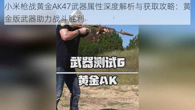 小米枪战黄金AK47武器属性深度解析与获取攻略：黄金版武器助力战斗胜利