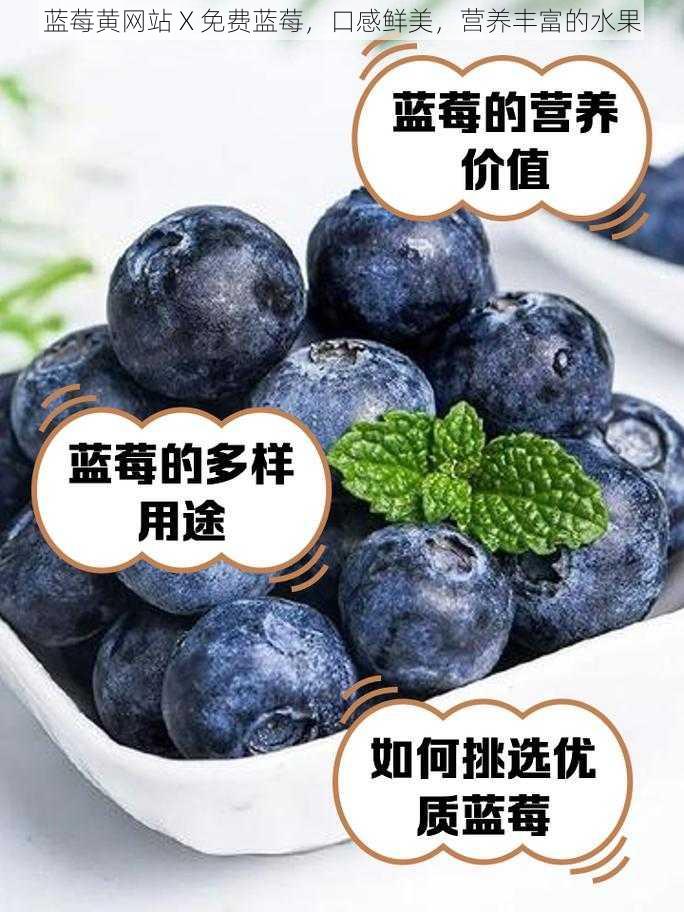 蓝莓黄网站 X 免费蓝莓，口感鲜美，营养丰富的水果