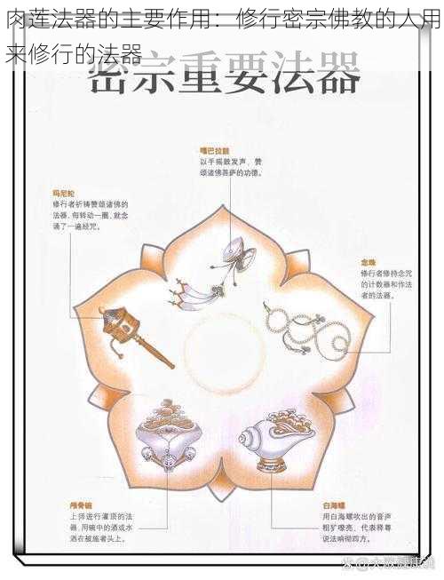 肉莲法器的主要作用：修行密宗佛教的人用来修行的法器