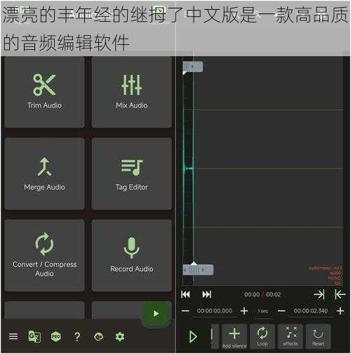 漂亮的丰年经的继拇了中文版是一款高品质的音频编辑软件