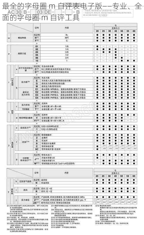 最全的字母圈 m 自评表电子版——专业、全面的字母圈 m 自评工具