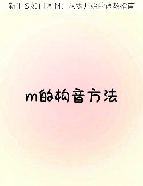 新手 S 如何调 M：从零开始的调教指南