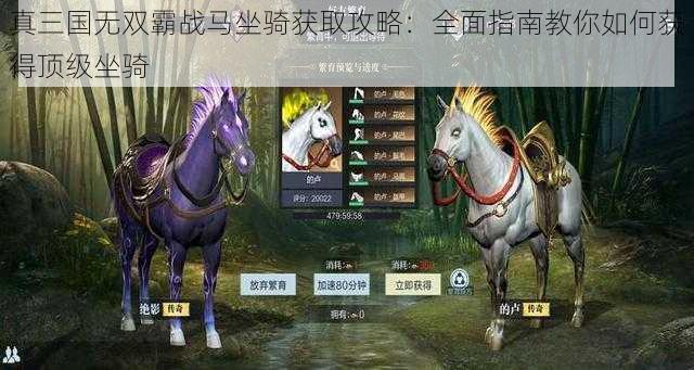 真三国无双霸战马坐骑获取攻略：全面指南教你如何获得顶级坐骑