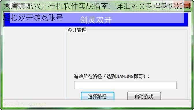 大唐真龙双开挂机软件实战指南：详细图文教程教你如何轻松双开游戏账号