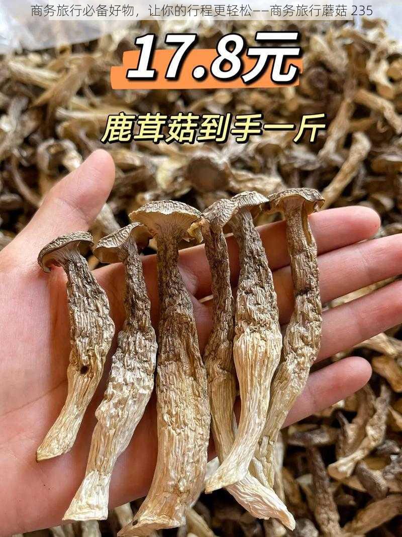 商务旅行必备好物，让你的行程更轻松——商务旅行蘑菇 235