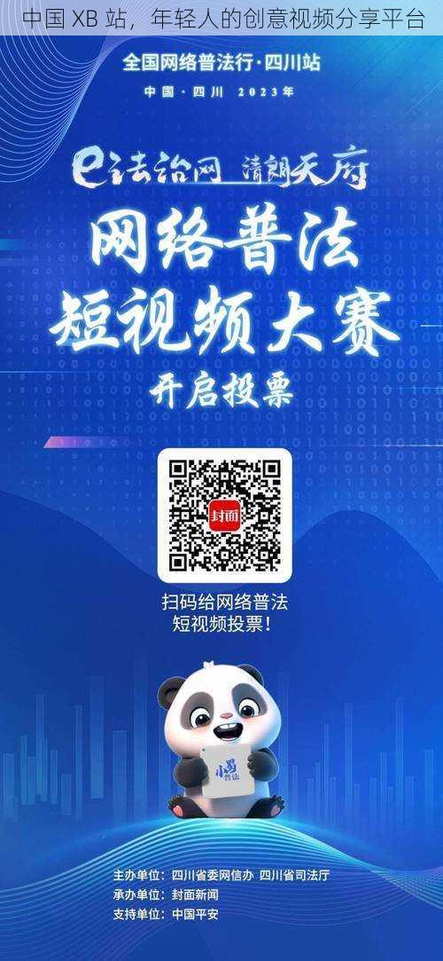 中国 XB 站，年轻人的创意视频分享平台