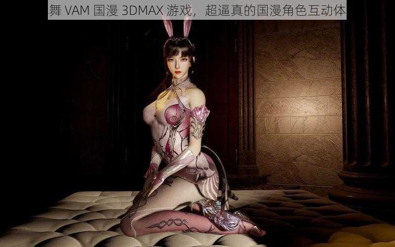 小舞 VAM 国漫 3DMAX 游戏，超逼真的国漫角色互动体验