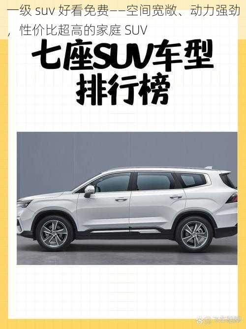 一级 suv 好看免费——空间宽敞、动力强劲，性价比超高的家庭 SUV