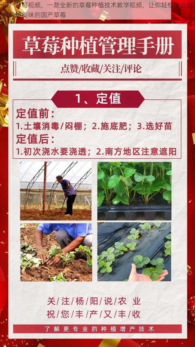 国产草莓视频，一款全新的草莓种植技术教学视频，让你轻松学会如何种植美味的国产草莓