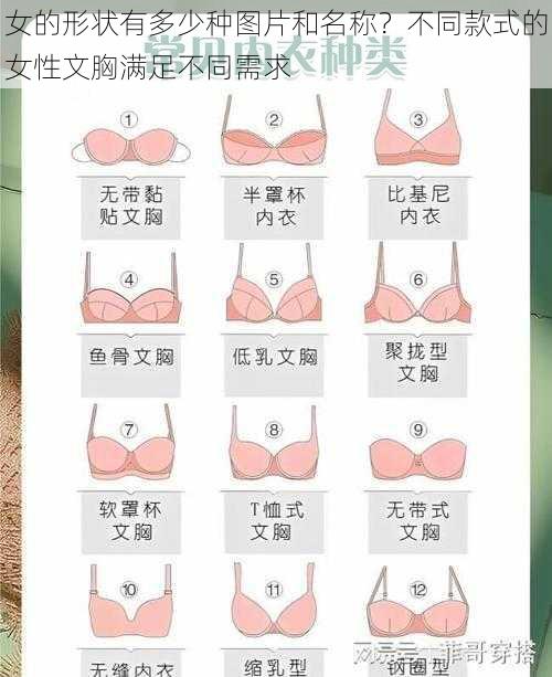 女的形状有多少种图片和名称？不同款式的女性文胸满足不同需求