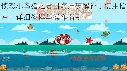 愤怒小鸟猪之夏日海洋破解补丁使用指南：详细教程与操作指引