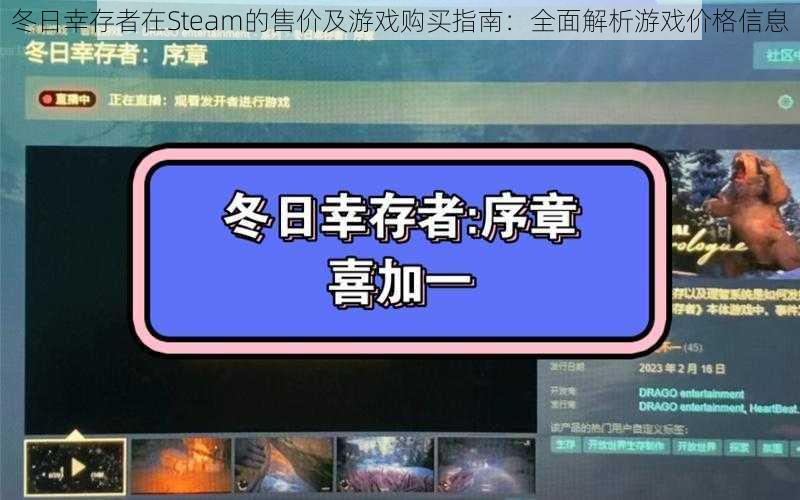 冬日幸存者在Steam的售价及游戏购买指南：全面解析游戏价格信息