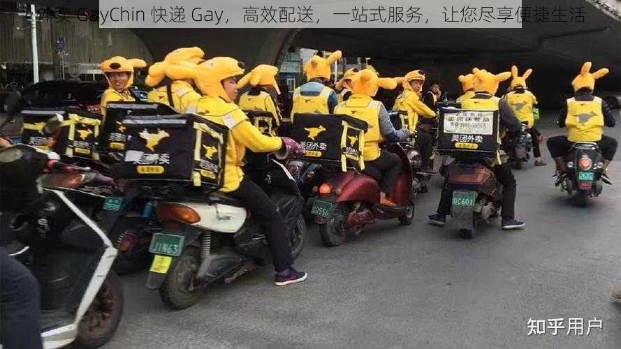 外卖 GayChin 快递 Gay，高效配送，一站式服务，让您尽享便捷生活