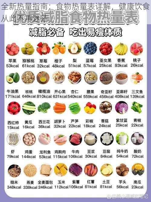 全新热量指南：食物热量表详解，健康饮食从此不再迷茫